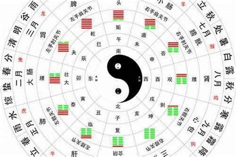 壬戌五行|地支